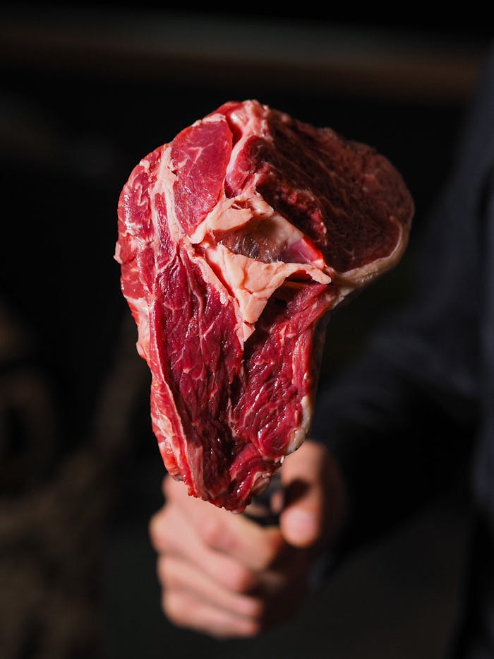 Fresh marbled beef steak being held, showcasing rich texture and red meat details.